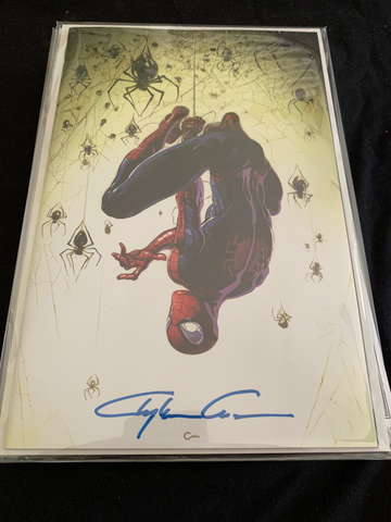 Spider-Man #1 - Clayton Crain Virgin Variant